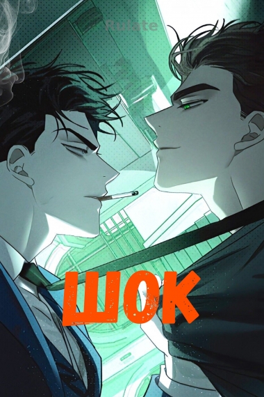 Шок [❤️] [Завершено✅] - обложка ранобэ читать онлайн