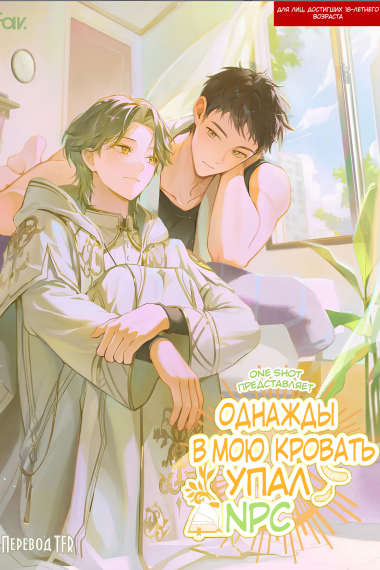 Однажды в мою кровать упал NPC - обложка ранобэ читать онлайн