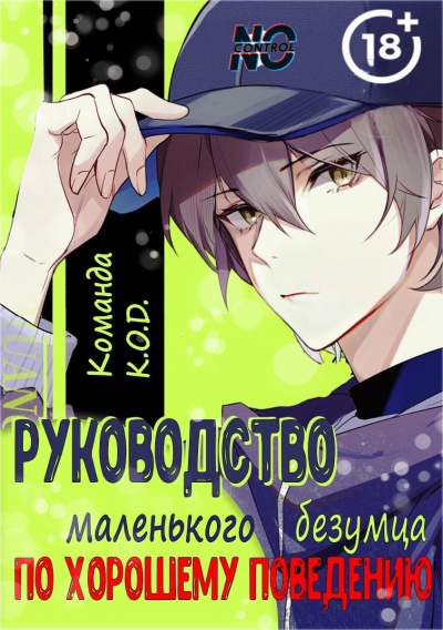 Руководство маленького безумца по хорошему поведению [❤️] - обложка ранобэ читать онлайн