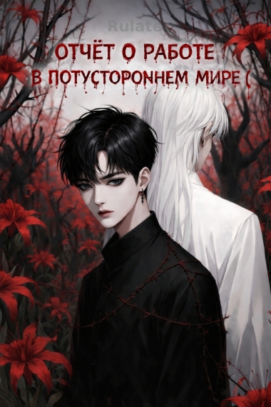 Отчёт о Работе в Потустороннем Мире - обложка ранобэ читать онлайн