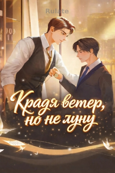 Крадя ветер, но не луну - обложка ранобэ читать онлайн