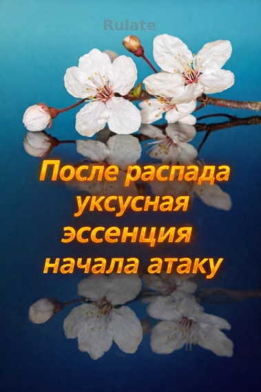 После распада уксусная эссенция начала атаку. - обложка ранобэ читать онлайн