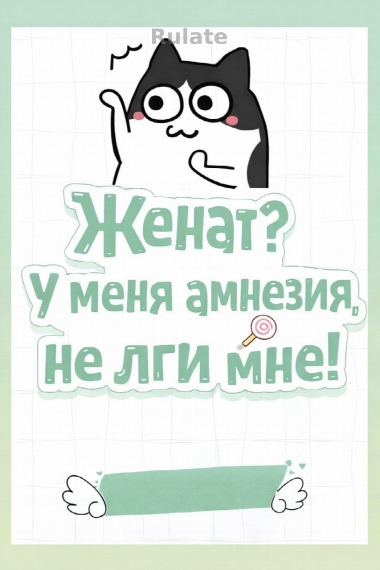 Женат? У меня амнезия, не лги мне! - обложка ранобэ читать онлайн