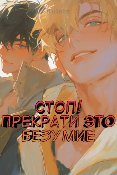 Стоп! Прекрати это безумие - обложка ранобэ читать онлайн