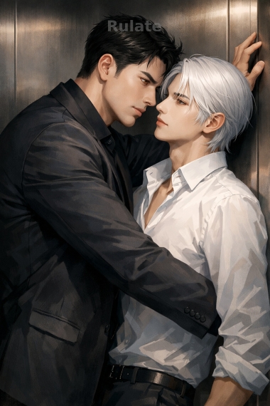 В погоне за женой - обложка ранобэ читать онлайн