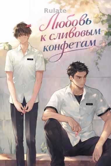 Любовь к сливовым конфетам [❤️] - обложка ранобэ читать онлайн