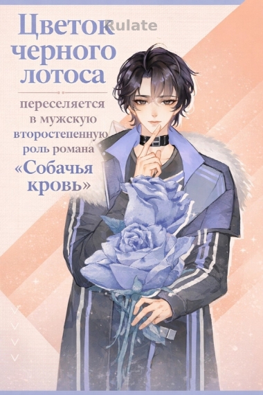 Цветок черного лотоса переселяется в мужскую второстепенную роль романа «Собачья кровь» - обложка ранобэ читать онлайн
