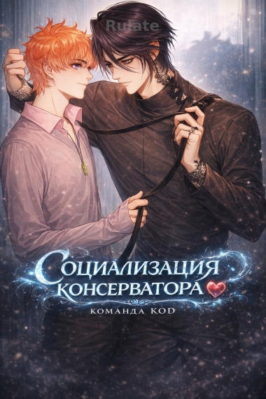 Социализация консерватора [❤️] - обложка ранобэ читать онлайн