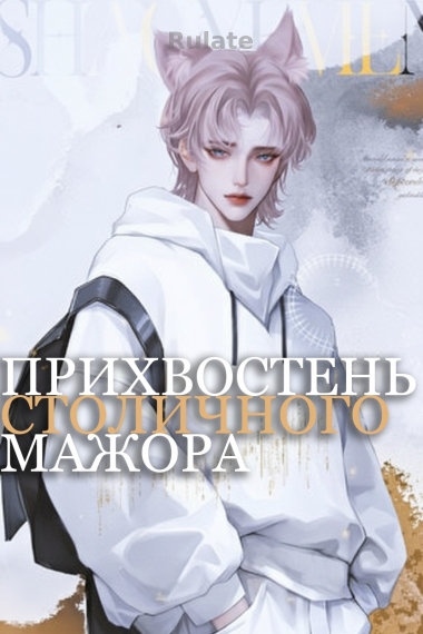 Прихвостень столичного мажора - обложка ранобэ читать онлайн