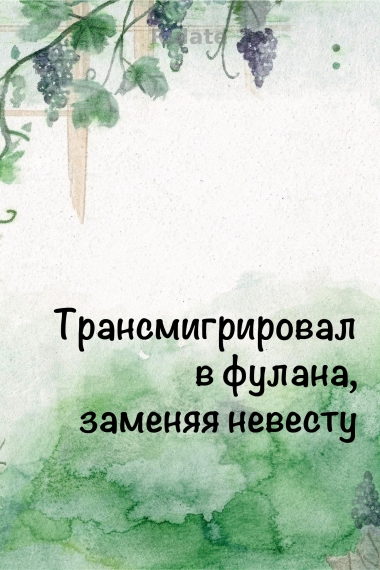 Трансмигрировал в фулана, заменяя невесту - обложка ранобэ читать онлайн