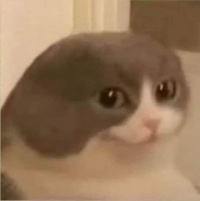 🫂 У них есть детишки